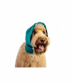 Bandage NO FLAP T.XL Chien