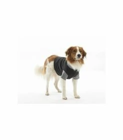 Buster Gilet BODY SUIT T.XXXL Chien