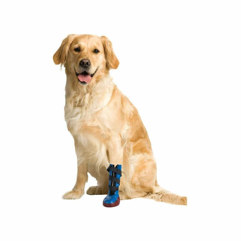 Buster Botte T.L Chien 1 Buster Botte T.L Chien