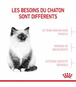 ROYAL CANIN Cat Kitten 400 G -alimentation chats boutique cat kitten 20