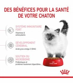 ROYAL CANIN Cat Kitten 400 G -alimentation chats boutique cat kitten 21