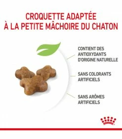 ROYAL CANIN Cat Kitten 10 Kg -alimentation chats boutique cat kitten 4