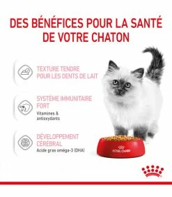 ROYAL CANIN CAT KITTEN BOUCHEE EN GELEE 12 X 85G 11 ROYAL CANIN CAT KITTEN BOUCHEE EN GELEE 12 X 85G -alimentation chats boutique cat kitten bouchee en gelee 12 x 85g 2