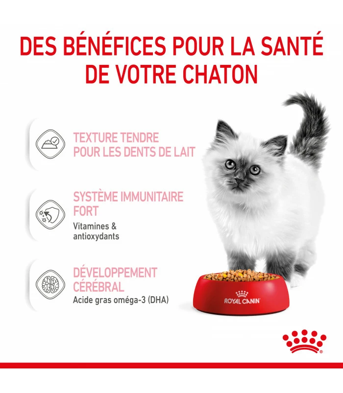 ROYAL CANIN CAT KITTEN BOUCHEE EN GELEE 12 X 85G 3 ROYAL CANIN CAT KITTEN BOUCHEE EN GELEE 12 X 85G – Image 3