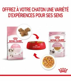 ROYAL CANIN CAT KITTEN BOUCHEE EN GELEE 12 X 85G 12 ROYAL CANIN CAT KITTEN BOUCHEE EN GELEE 12 X 85G -alimentation chats boutique cat kitten bouchee en gelee 12 x 85g 3