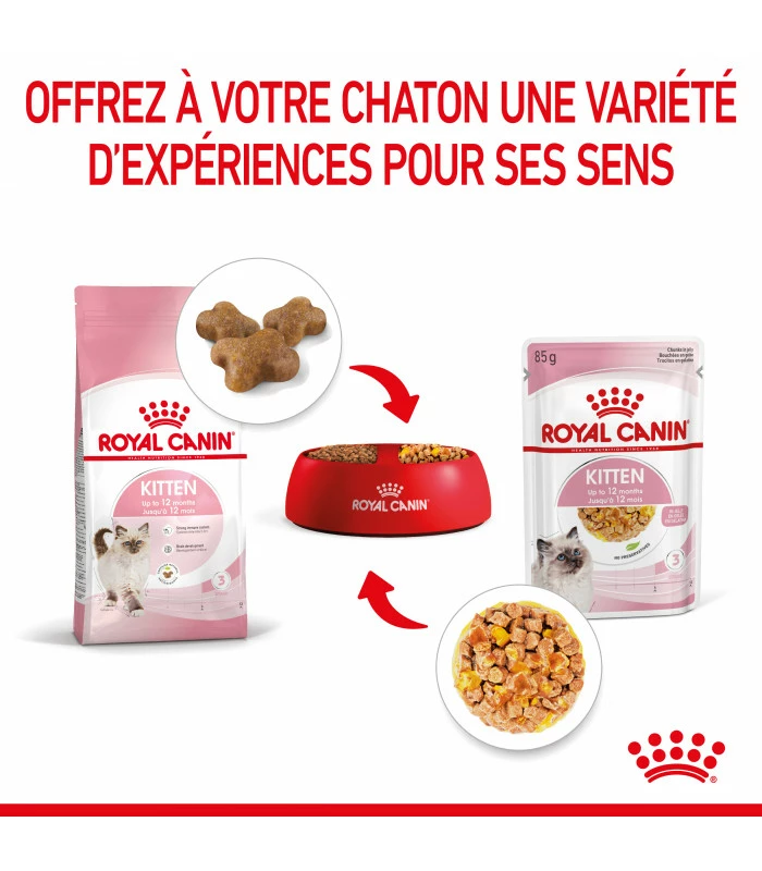 ROYAL CANIN CAT KITTEN BOUCHEE EN GELEE 12 X 85G 4 ROYAL CANIN CAT KITTEN BOUCHEE EN GELEE 12 X 85G – Image 4