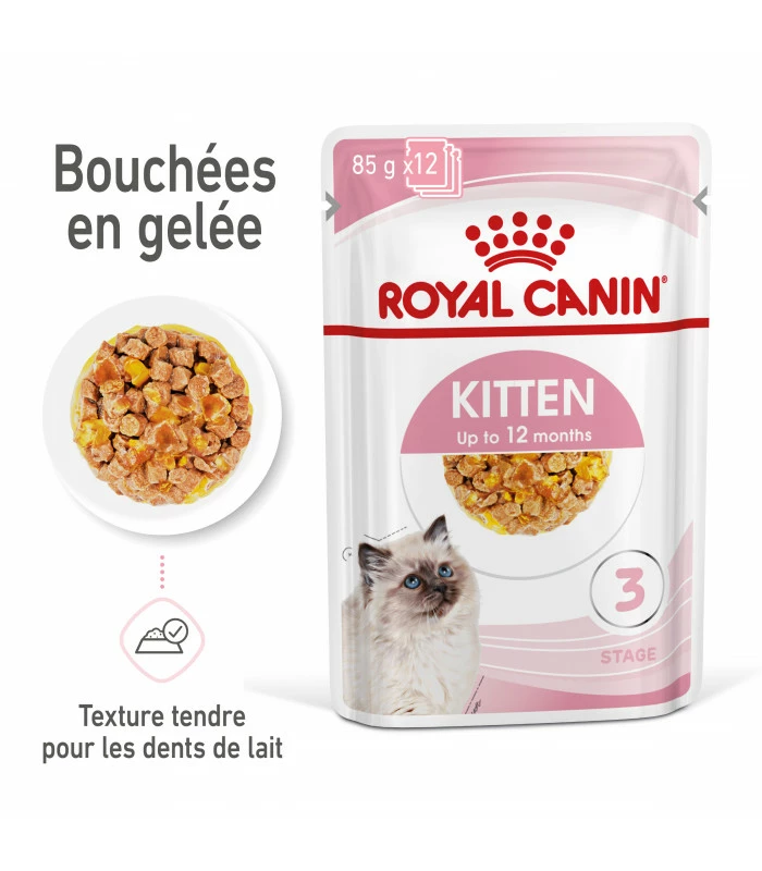 ROYAL CANIN CAT KITTEN BOUCHEE EN GELEE 12 X 85G 8 ROYAL CANIN CAT KITTEN BOUCHEE EN GELEE 12 X 85G – Image 8