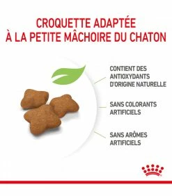 ROYAL CANIN Cat Kitten Stérilisé 2 Kg 10 ROYAL CANIN Cat Kitten Stérilisé 2 Kg -alimentation chats boutique cat kitten sterilise 2 kg 10