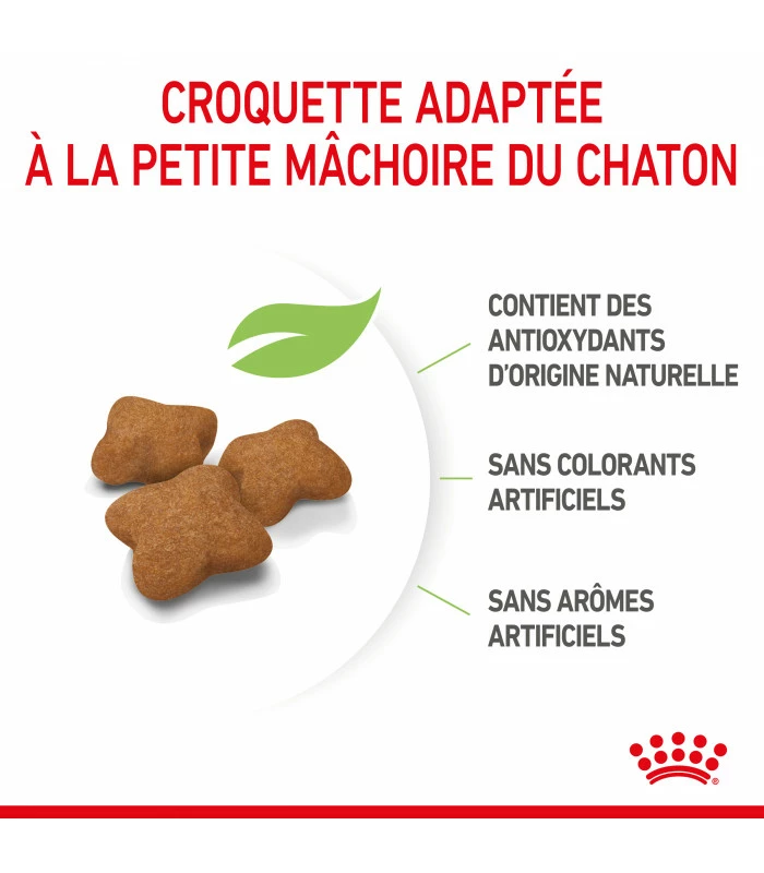 ROYAL CANIN Cat Kitten Stérilisé 2 Kg 4 ROYAL CANIN Cat Kitten Stérilisé 2 Kg – Image 4