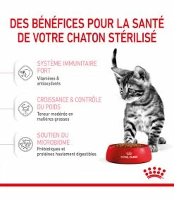 ROYAL CANIN Cat Kitten Stérilisé 2 Kg 9 ROYAL CANIN Cat Kitten Stérilisé 2 Kg -alimentation chats boutique cat kitten sterilise 2 kg 9