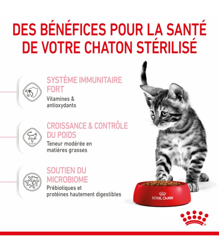 ROYAL CANIN Cat Kitten Stérilisé 2 Kg 3 ROYAL CANIN Cat Kitten Stérilisé 2 Kg – Image 3