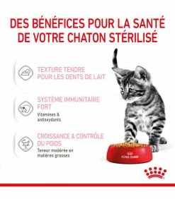 ROYAL CANIN CAT KITTEN STERILIZED BOUCHEE EN GELEE 12 X 85G -alimentation chats boutique cat kitten sterilized bouchee en gelee 12 x 85g 2