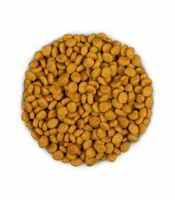 HILL'S Pet Nutrition Croquettes C/D MULTICARE + METABOLIC Chien Sac 2 Kg - Prescription Diet -alimentation chats boutique cd multicare metabolic chien sac 2 kg prescription diet 12