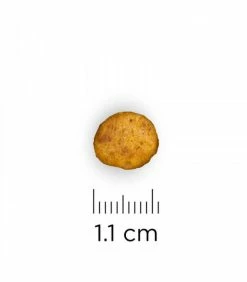 HILL'S Pet Nutrition Croquettes C/D MULTICARE + METABOLIC Chien Sac 2 Kg - Prescription Diet -alimentation chats boutique cd multicare metabolic chien sac 2 kg prescription diet 13