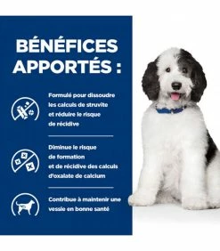 HILL'S Pet Nutrition Croquettes C/D URINARY MULTICARE POULET Chien Sac 12 Kg - Prescription Diet -alimentation chats boutique cd multicare poulet chien sac 12 kg prescription diet 5