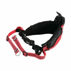 Zolux Ceinture JOGGING MOOV Chien