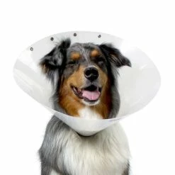 KONG Collier Carcan à Pression T.XL Chien