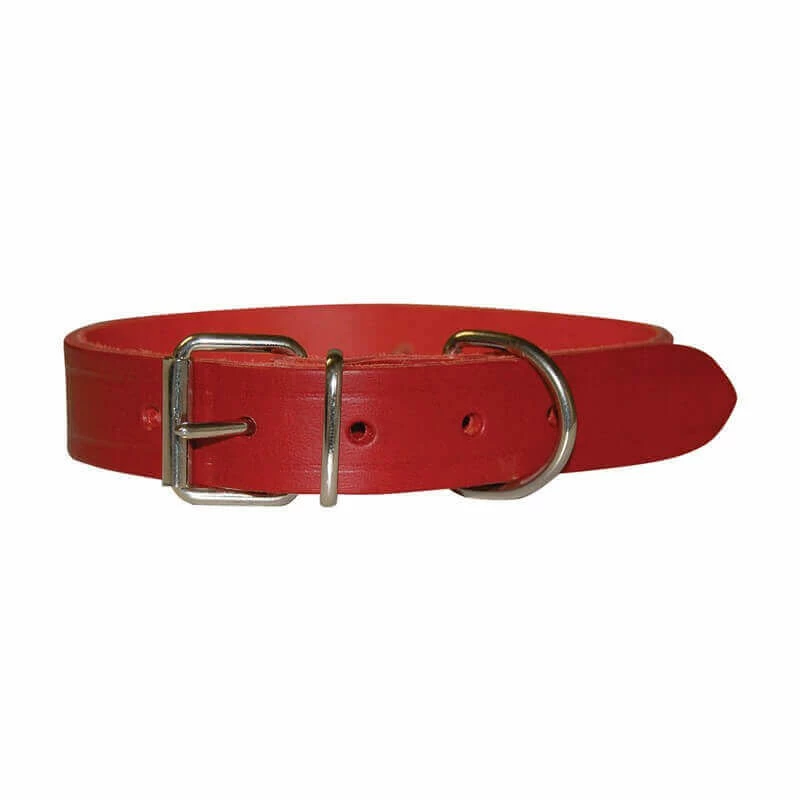 Collier CUIR RIVETE ROUGE T.XXL Chien 1 Collier CUIR RIVETE ROUGE T.XXL Chien