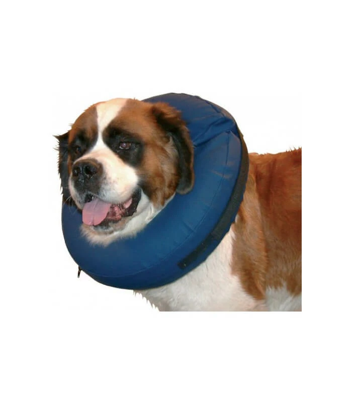 Collier LUNE Toys T.2 Chien 1 Collier LUNE Toys T.2 Chien