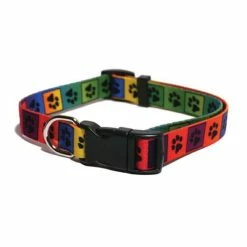 BOBBY Collier MULTICOLORE SMALL Chien