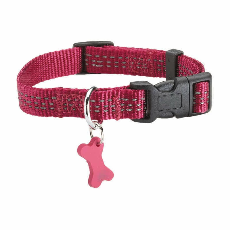 BOBBY Collier SAFE FUCHSIA T.M Chien 1 BOBBY Collier SAFE FUCHSIA T.M Chien