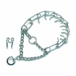 Collier TORQUATUS Chien