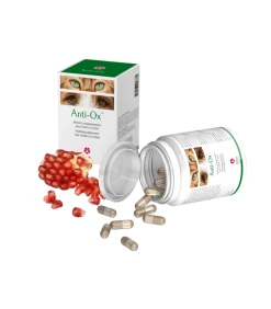 MILOA Complément ANTI OX Chien Et Chat