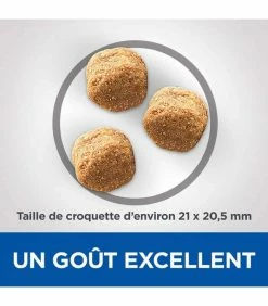 HILL'S Pet Nutrition Croquettes ADULT DENTAL HEALTH LARGE POULET Chien Sac 13 Kg - Vet Essentials -alimentation chats boutique croquettes adult dental health large poulet chien sac 13 kg vetessentials 2
