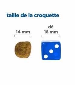 HILL'S Pet Nutrition Croquettes Canine Muti-Benefit Dental Adult Medium & Large Poulet Sac 10 Kg - Vet Essentials -alimentation chats boutique croquettes adult dental health medium poulet chien sac 10 kg vetessentials 5