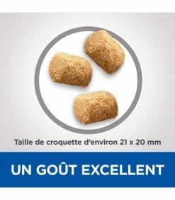 HILL'S Pet Nutrition Croquettes ADULT DENTAL HEALTH MEDIUM POULET Chien Sac 2 Kg - Vet Essentials -alimentation chats boutique croquettes adult dental health medium poulet chien sac 2 kg vetessentials 2