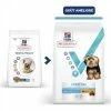 HILL'S Pet Nutrition Croquettes ADULT DENTAL HEALTH SMALL&MINI POULET Chien Sac 2 Kg - Vet Essentials