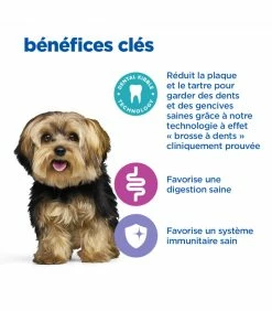 HILL'S Pet Nutrition Croquettes Canine Dental Health Adult Mini POULET Chien Sac 2 Kg - Vet Essentials -alimentation chats boutique croquettes adult dental health thickbox mini poulet chien sac 2 kg vetessentials 17