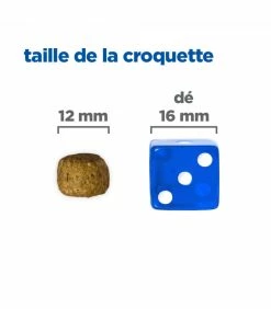 HILL'S Pet Nutrition Croquettes Canine Dental Health Adult Mini POULET Chien Sac 2 Kg - Vet Essentials -alimentation chats boutique croquettes adult dental health thickbox mini poulet chien sac 2 kg vetessentials 18