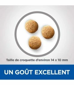HILL'S Pet Nutrition Croquettes ADULT DENTAL HEALTH SMALL&MINI POULET Chien Sac 7 Kg - Vet Essentials -alimentation chats boutique croquettes adult dental health thickbox mini poulet sac 7 kg vetessentials 1