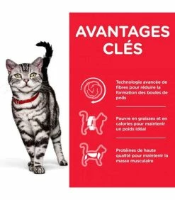 HILL'S Pet Nutrition Croquettes ADULT HAIRBALL INDOOR POULET Chat Sac 1.5 Kg - Science Plan -alimentation chats boutique croquettes adult hairball indoor poulet chat sac 1 kg science plan 2