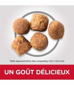 HILL'S Pet Nutrition Croquettes ADULT HEALTHY MOBILITY LARGE POULET Chien Sac 14 Kg - Science Plan -alimentation chats boutique croquettes adult healthy mobility large poulet chien sac 14 kg science plan 2