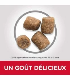 HILL'S Pet Nutrition Croquettes ADULT HEALTHY MOBILITY MEDIUM POULET Chien Sac 14 Kg - Science Plan -alimentation chats boutique croquettes adult healthy mobility medium poulet chien sac 14 kg science plan 2