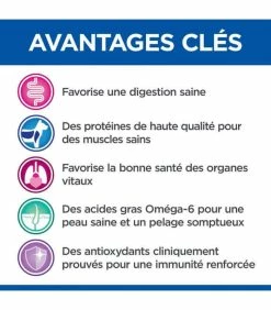 HILL'S Pet Nutrition Croquettes ADULT LARGE AGNEAU & RIZ Chien Sac 16 Kg - Vet Essentials -alimentation chats boutique croquettes adult large agneau riz chien sac 16 kg vetessentials 1