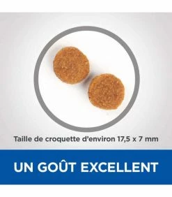 HILL'S Pet Nutrition Croquettes ADULT LARGE AGNEAU & RIZ Chien Sac 16 Kg - Vet Essentials -alimentation chats boutique croquettes adult large agneau riz chien sac 16 kg vetessentials 2
