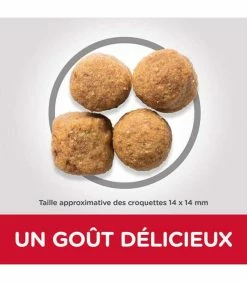 HILL'S Pet Nutrition Croquettes ADULT LARGE POULET Chien Sac 18 Kg - Science Plan -alimentation chats boutique croquettes adult large poulet chien sac 18 kg science plan 4