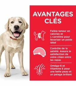 HILL'S Pet Nutrition Croquettes ADULT LIGHT LARGE POULET Chien Sac 18 Kg - Science Plan -alimentation chats boutique croquettes adult light large poulet chien sac 18 kg science plan 3