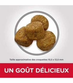 HILL'S Pet Nutrition Croquettes ADULT LIGHT MEDIUM POULET Chien Sac 14 Kg - Science Plan -alimentation chats boutique croquettes adult light medium poulet sac 14 kg science plan 2