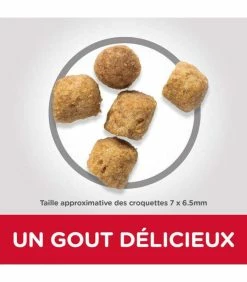 HILL'S Pet Nutrition Croquettes ADULT LIGHT POULET Chat Sac 1.5 Kg - Science Plan -alimentation chats boutique croquettes adult light poulet chat sac 1 kg science plan 3