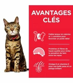 HILL'S Pet Nutrition Croquettes ADULT LIGHT POULET Chat Sac 3 Kg - Science Plan -alimentation chats boutique croquettes adult light poulet chat sac 3 kg science plan 2