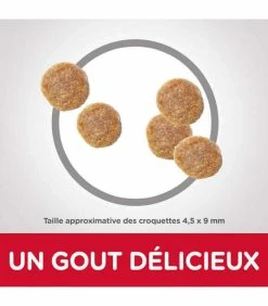 HILL'S Pet Nutrition Croquettes ADULT LIGHT THON Chat Sac 1.5 Kg - Science Plan -alimentation chats boutique croquettes adult light thon chat sac 1 kg science plan 3