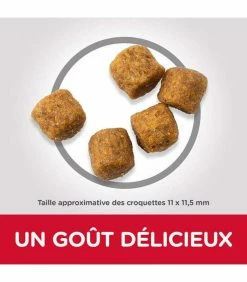 HILL'S Pet Nutrition Croquettes ADULT MEDIUM AGNEAU & RIZ Chien Sac 14 Kg - Science Plan -alimentation chats boutique croquettes adult medium agneau riz chien sac 14 kg science plan 2