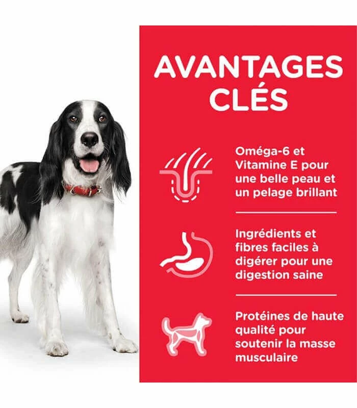 HILL'S Pet Nutrition Croquettes ADULT MEDIUM AGNEAU & RIZ Chien Sac 2.5 Kg - Science Plan 2 HILL'S Pet Nutrition Croquettes ADULT MEDIUM AGNEAU & RIZ Chien Sac 2.5 Kg - Science Plan – Image 2