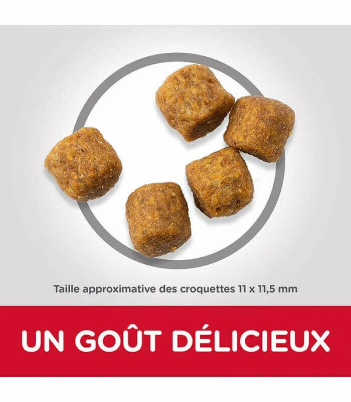 HILL'S Pet Nutrition Croquettes ADULT MEDIUM AGNEAU & RIZ Chien Sac 2.5 Kg - Science Plan 3 HILL'S Pet Nutrition Croquettes ADULT MEDIUM AGNEAU & RIZ Chien Sac 2.5 Kg - Science Plan – Image 3