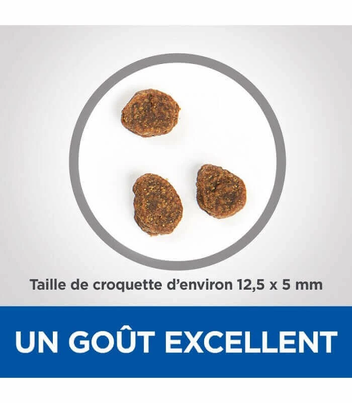 HILL'S Pet Nutrition Croquettes ADULT MEDIUM NO GRAIN THON & POMMES DE TERRE Chien Sac 10 Kg - Vet Essentials 4 HILL'S Pet Nutrition Croquettes ADULT MEDIUM NO GRAIN THON & POMMES DE TERRE Chien Sac 10 Kg - Vet Essentials – Image 4