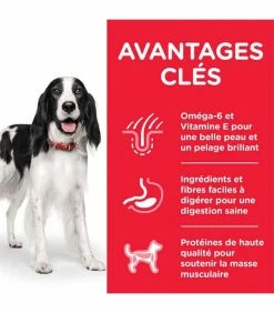 HILL'S Pet Nutrition Croquettes ADULT MEDIUM POULET Chien Sac 2.5 Kg - Science Plan -alimentation chats boutique croquettes adult medium poulet chien sac 2 kg science plan 2